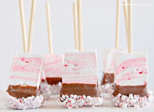 Peppermint marshmallow hot chocolate on a stick 9