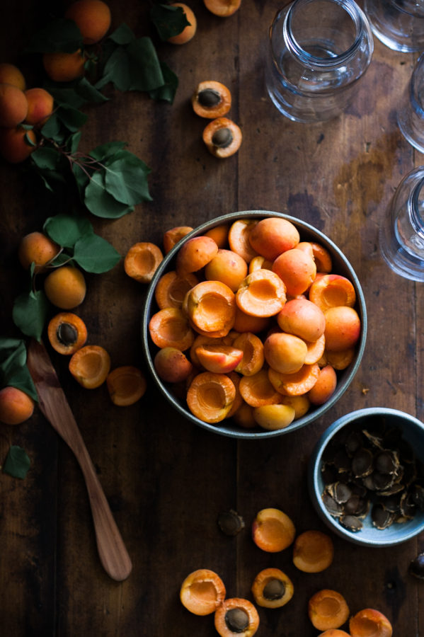 Apricot Nectar Recipe & Tutorial