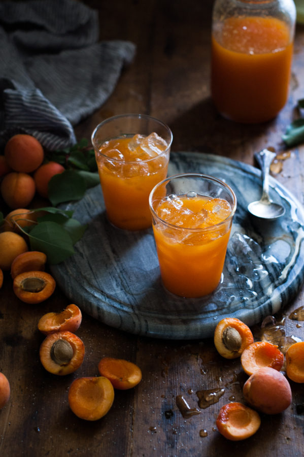 Apricot Nectar Recipe & Tutorial
